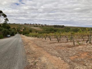 The road by Crabtree Wines
