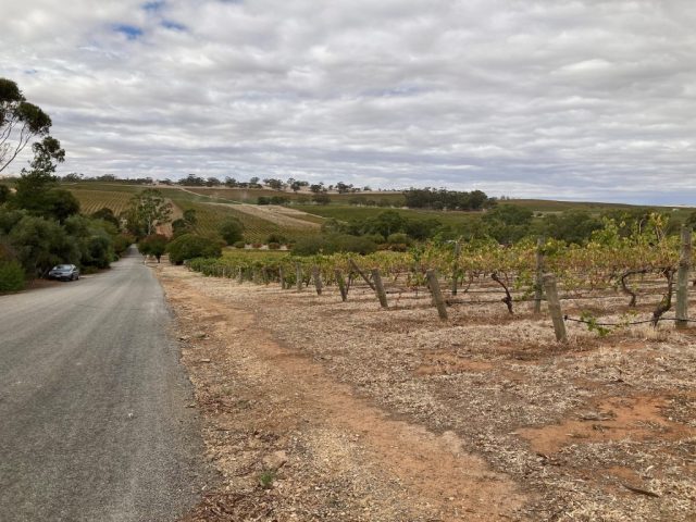 The road by Crabtree Wines
