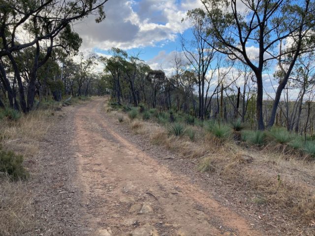 The Ridgetop Track