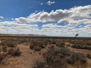 Looking across the outback