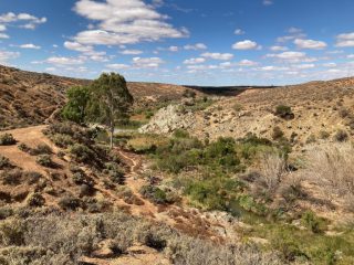 Distant view of a waterhole