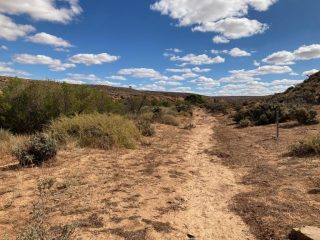 On the trail
