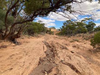 The Campground to Oval hike crosses the dried out creek