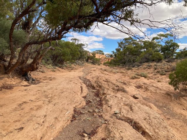 The Campground to Oval hike crosses the dried out creek