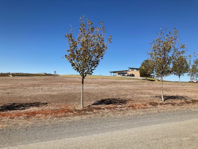 The road up to O'Leary Walker Wines