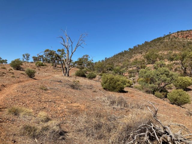 Near the start of the trail