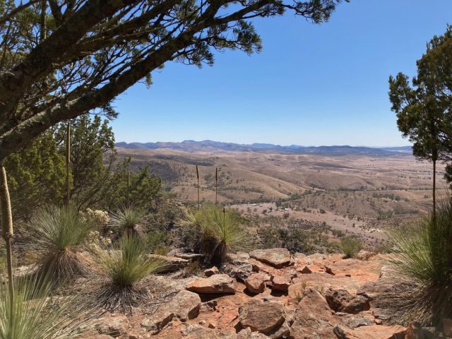 Higher up on the trail