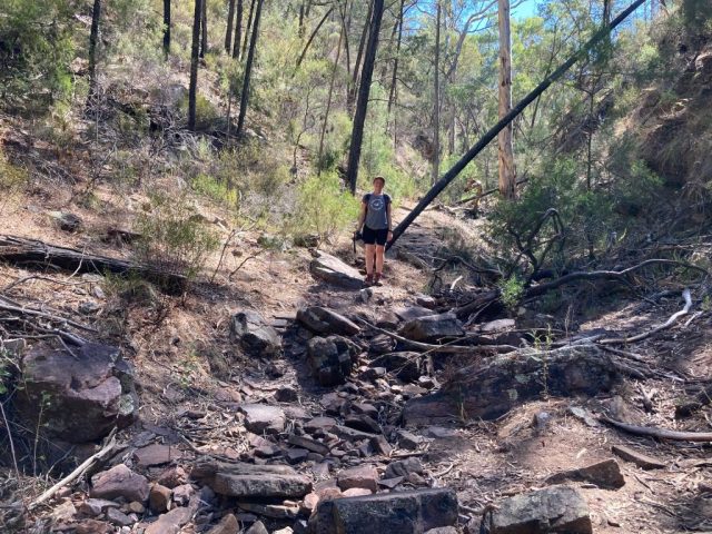 CC on the trail