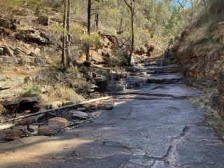 In the gorge