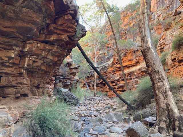 The trail goes along the gorge floor