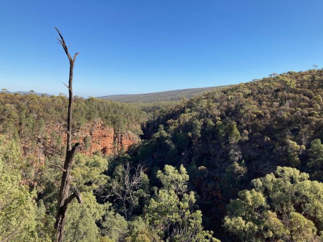 View from Gorge Lookout