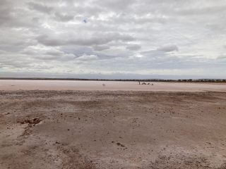 The Lochiel Ness Monster in the distance The Lochiel Ness Monster in the distance