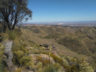 Back on the trail