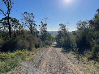 The North Boundary Track in Churchill National Park