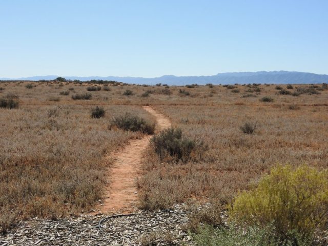 On the trail in the Botanic Gardens