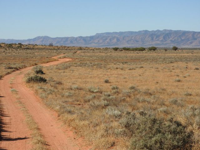 View of Flinders Ranges from the gardens