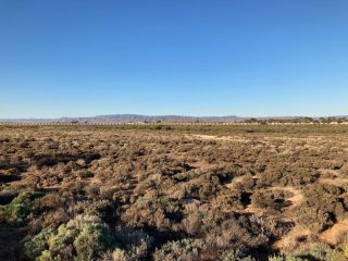 View of the Flinders Ranges