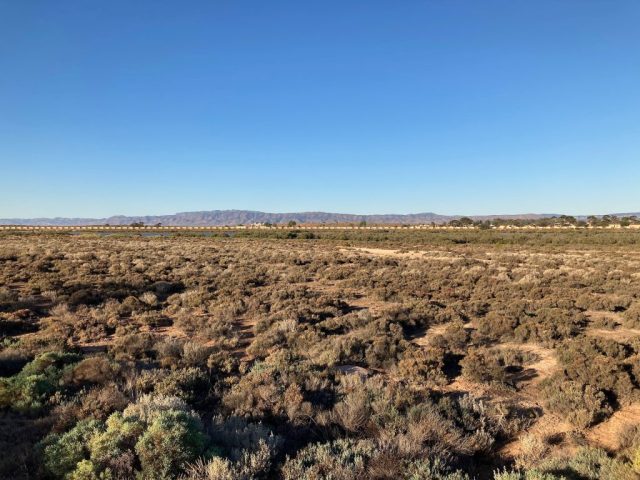 View of the Flinders Ranges