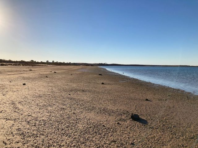On the Spencer Gulf