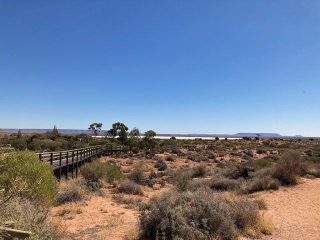 The boardwalk at Garden Lookout