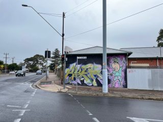 Our road in Glenelg East