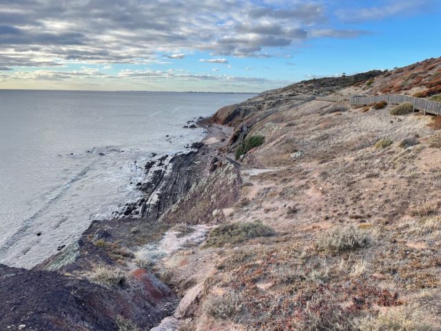 Cliffs in Hallett Cove Conservation Park