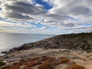 Hallett Cove Conservation Park looking north Hallett Cove Conservation Park looking north