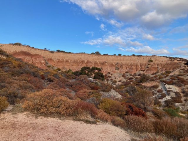 The back of Hallett Cove Conservation Park