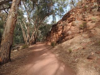 Near the start of the trail