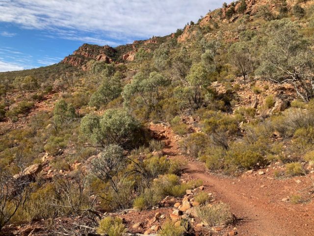 On the ascent
