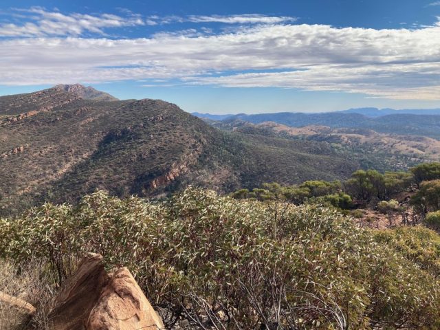 View from the summit