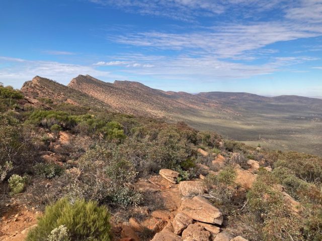 View into Wilpena Pound from the summit