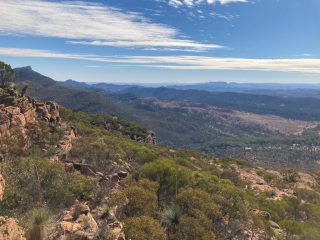 More views