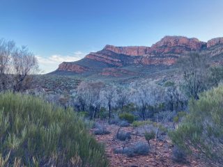View of the back of Wilpena Pound