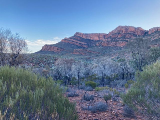 View of the back of Wilpena Pound