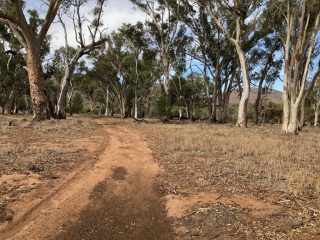 Trail inside Wilpena Pound leading to Pound Gap Trail inside Wilpena Pound leading to Pound Gap