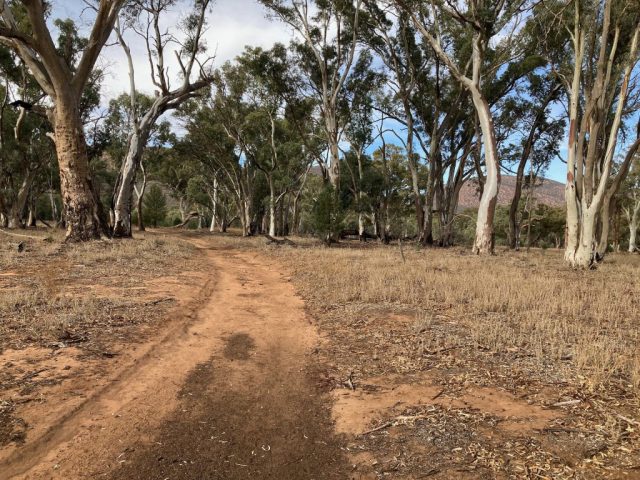 Trail inside Wilpena Pound leading to Pound Gap