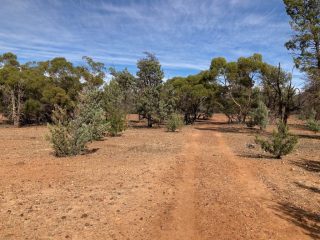Track inside Wilpena Pound