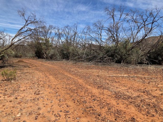 Rocky trail