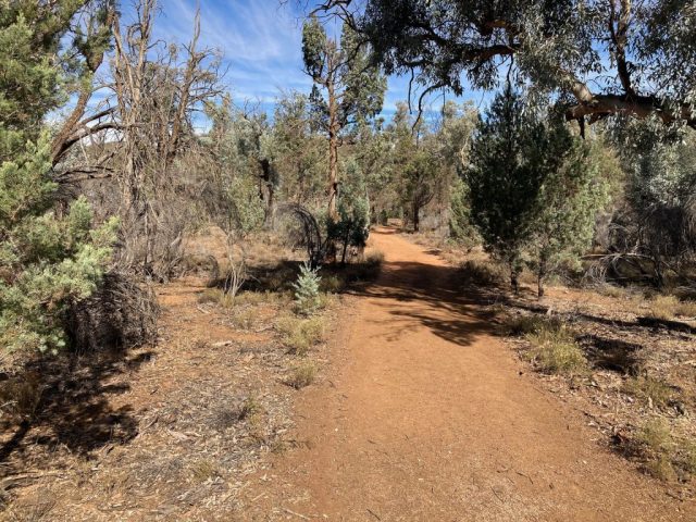 The trail continues