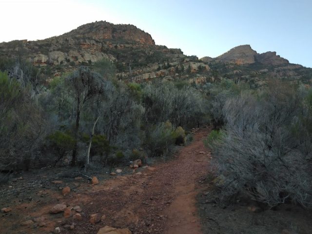 The trail to Arkaroo Rock