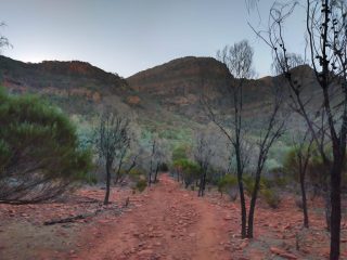 The trail on the way back from Arkaroo Rock