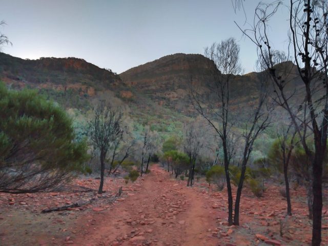 The trail on the way back from Arkaroo Rock