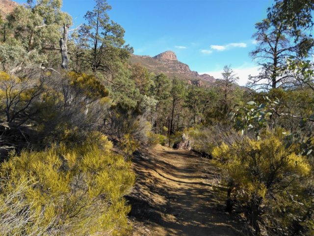 Heading towards Tanderra Saddle in the distance