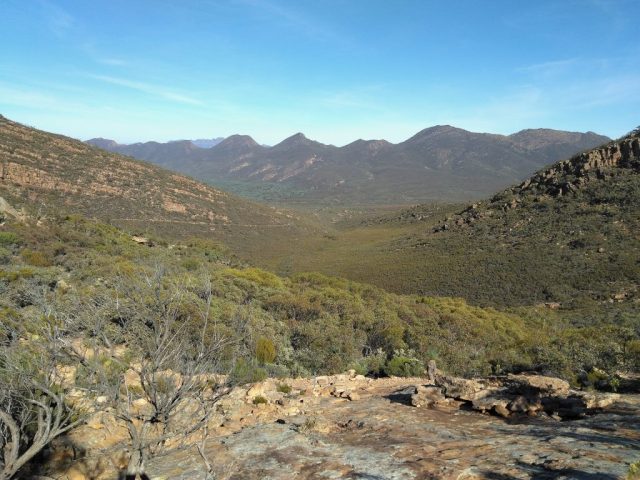 View into Wilpena Pound from Tanderra Saddle