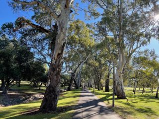 Alongside Victoria Park