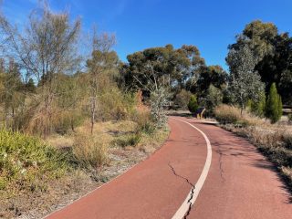 On the trail in Reservoir Park
