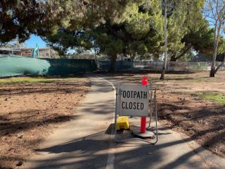 We had to take a detour in Denise Norton Park