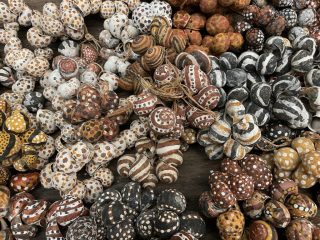 Painted shells Painted shells