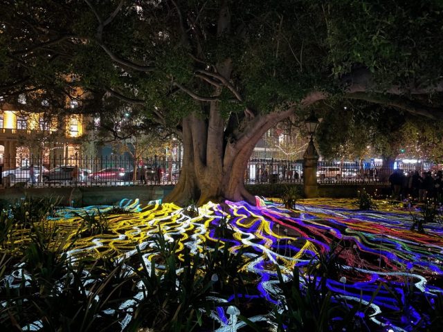 Mycelium Network by Custom Fibre Optics Mycelium Network by Custom Fibre Optics